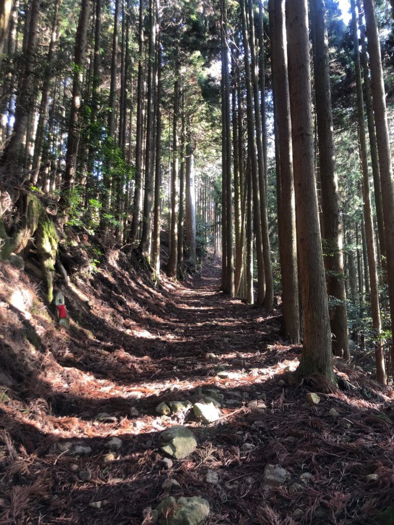 笠形山登山道