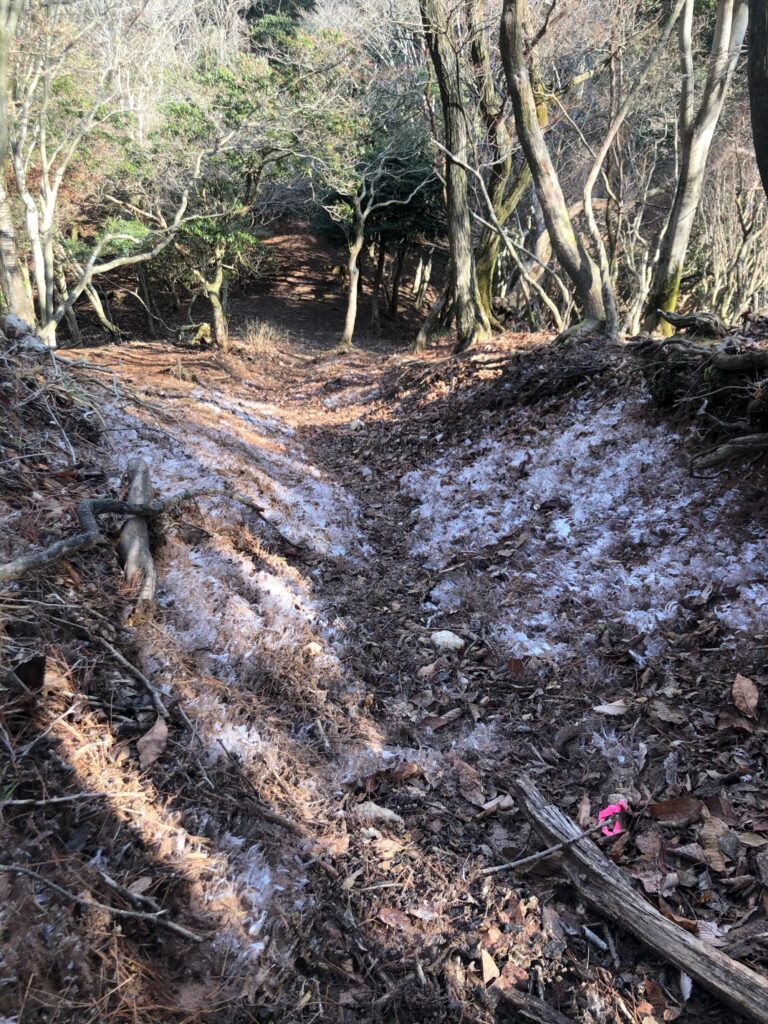 笠形山登山道の霜その2